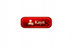 Kayıt